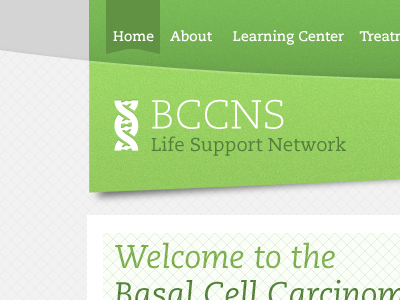 BCCNS green nav texture website