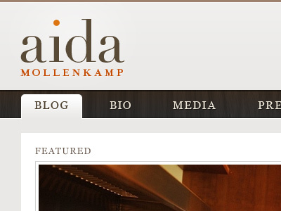 Aida Mollenkamp Tabbed Navigation bodoni didot georgia interface serif tab wood