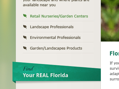 Plants sidebar green leaf sidebar tan teal