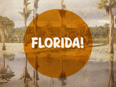 Florida! florida oranges sign painter house upright swamp