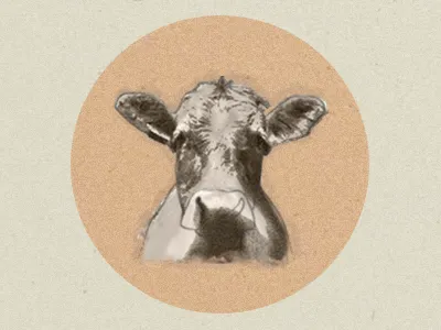Don't have a cow animal blog post cow illustration rainypixels