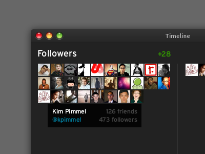 Project Timeline / Followers app a month
