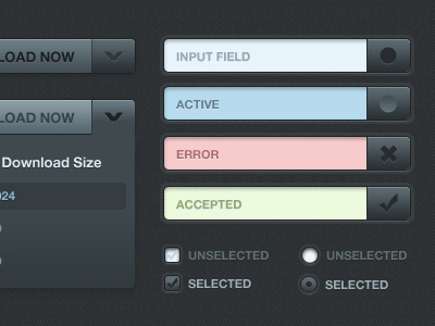 UI Form Elements - All for you! checkboxes dark form hip hop input interface radio ui