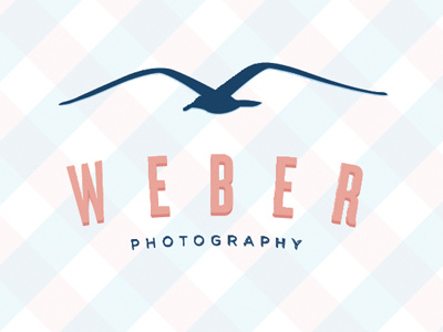 Weber Photography Logo illustration logo plaid seagull