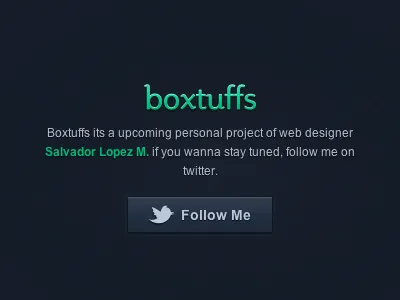 Boxtuffs - My personal project box project ui web