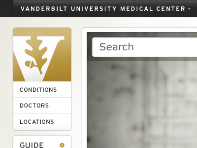 VUMC comp redesign site vanderbilt