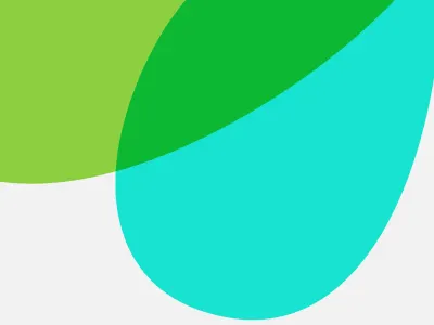 A new leaf green leaf