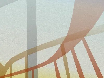 Someone Said That. Not me. brown freeway highway pollution red textured