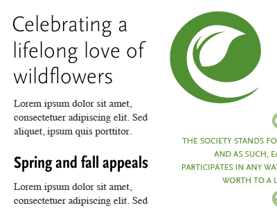 A Lifelong Love Of Wildflowers green scala sans typography