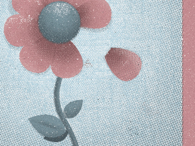 BG flower album blue illustration packaging pink