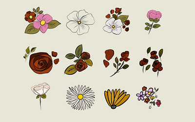 Flowers & roses illustration set branding graphic design illustration vector