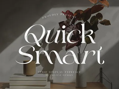 Quick Smart Modern Serif alternates branding font classic font classy font display font elegant font fancy font fashion font ligature font ligatures logo font luxury font modern font quick smart modern serif retro font retro typeface retro typography serif font stylish font