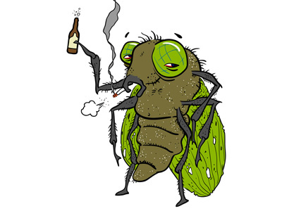 Grungy Fly illustration vector