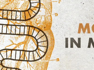 Movement : Detail album cover illustration music packaging