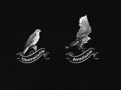 Availability falcons allies illustration