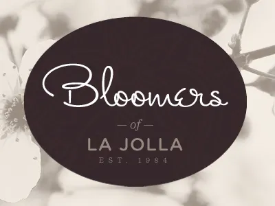 Blommers branding flowers gotham rounded identity miss fitzpatrick script sentinel