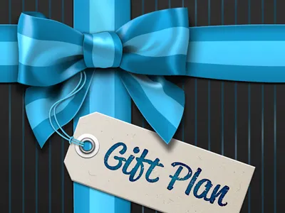 Gift Plan app illustration ios iphone vector