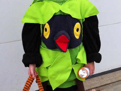 Pokemon - Burmy - Plant Cloak - Costume burmy costume halloween plant cloak pokemon