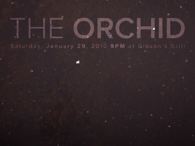 The Orchid Poster Concept concert poster photography the orchid