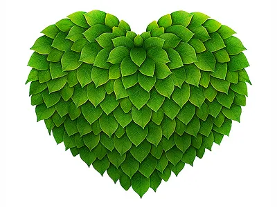 Green heart green heart leaves
