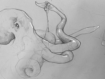 Octopus art octopus sketch