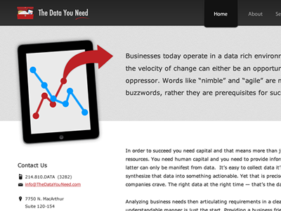 The Data You Need Site Preview blue fireworks gray ipad red site vector web