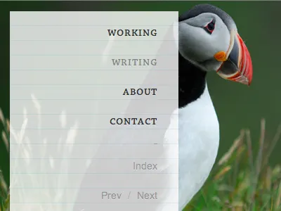 RGBa and a Puffin bird minimal puffin rgba