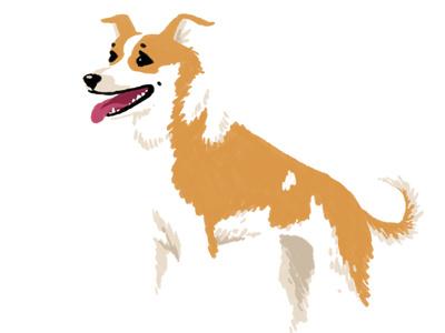 Woof! dog illustration