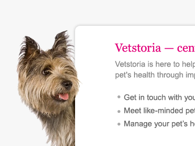 Vetstoria frontpage homepage ui