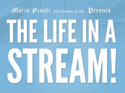 The life in a stream blue claim logo typography