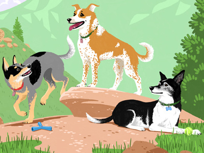 Three Woofs dogs illustration