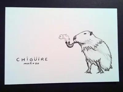 Chigüire Mañoso capybara chigüire illustration ink personal work random