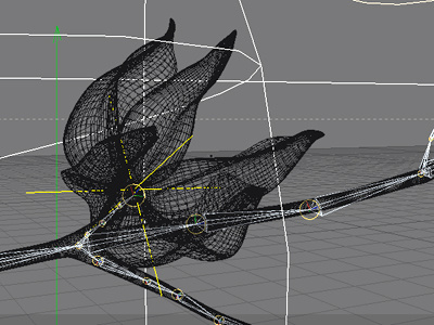 Wireframe Cotton 3d cotton plant wireframe