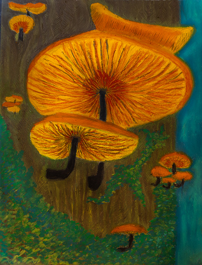 Flammulina Velutipes fungi colorful drawing flammulina velutipes fungi illustration oil pastel