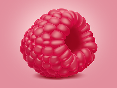 Raspberry berry illustration raspberry