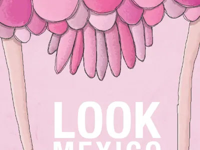 Look Mexico Poster illustration print type wacom