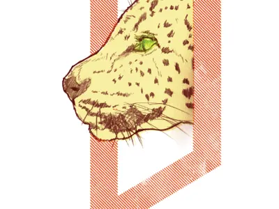 The Leopard drawing leopard orange sketch