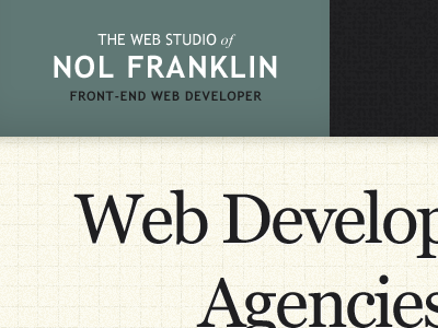 Homepage Design nol franklin portfolio teal type wordmark