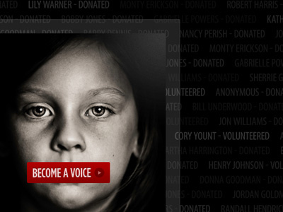 Voice non profit transparency website