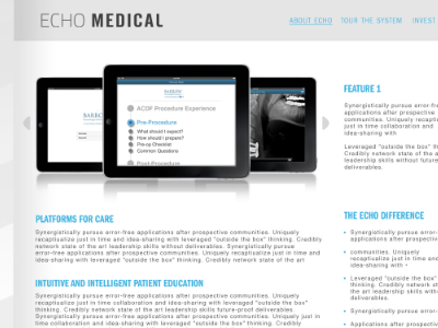 Echo Medical website