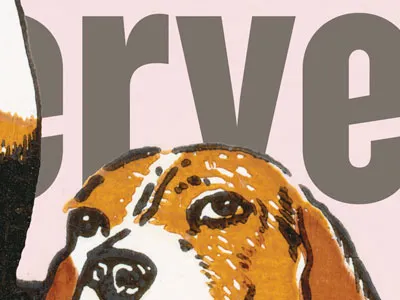 01-20-11 Dallas Observer Cover In-Progress cover csa csa images dallas observer editorial design