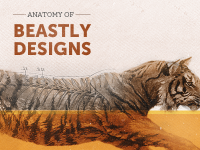 Anatomy Of anatomy of design orange photoshop tiger