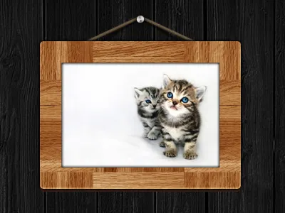 Little Photo Box frame thumbnails wood