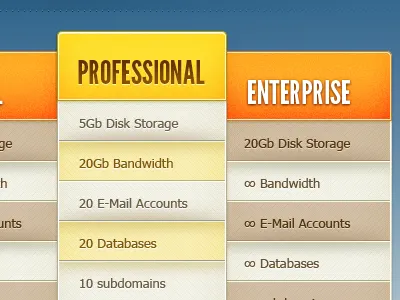 Pricing Table design type web