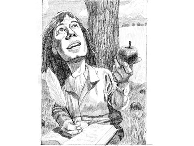 Newton Sketch 2 apples charcoal drawing illustration pencil