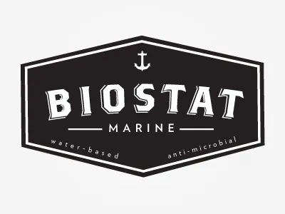 Biostat Logo Option 1 logo typography