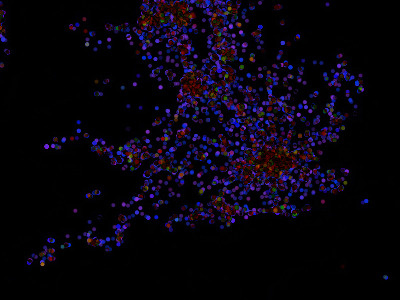 Measuring Twitter sentiment awesome data data visualisation javascript programming twitter