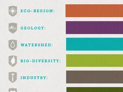 branding system developement / icons branding colors icons