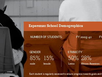 Annual Report Demographics annual report nonprofit