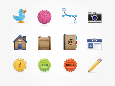 Icon Set 2 camera crate dribbble house icon illustrator twitter vector